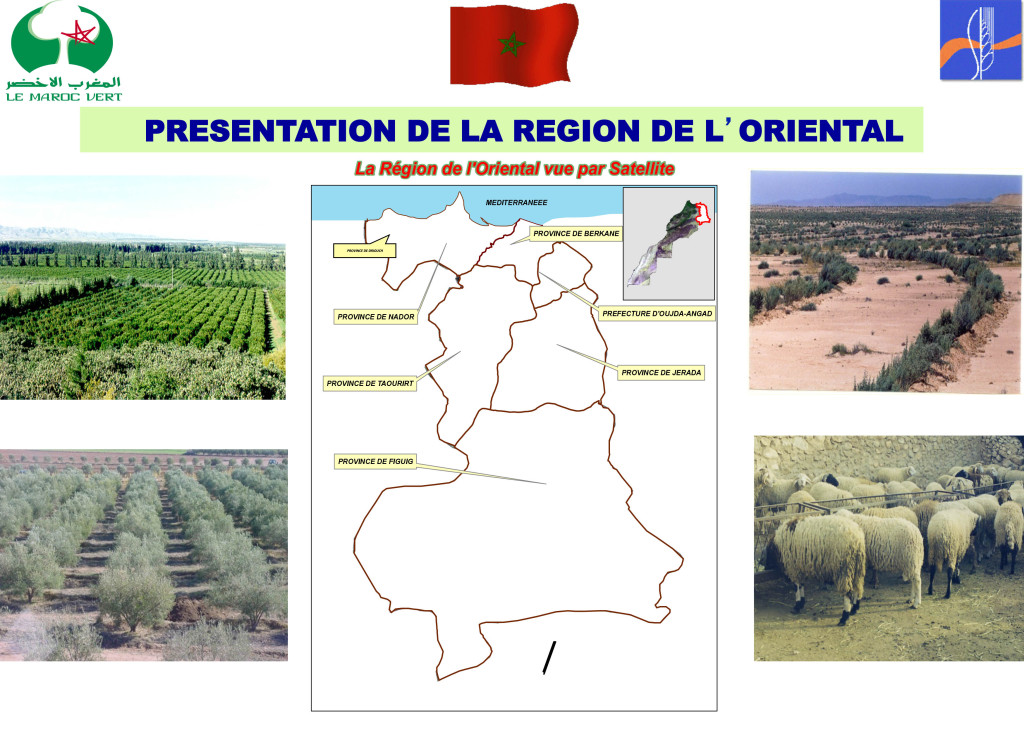 Présntation de la région de l'Oriental1-1