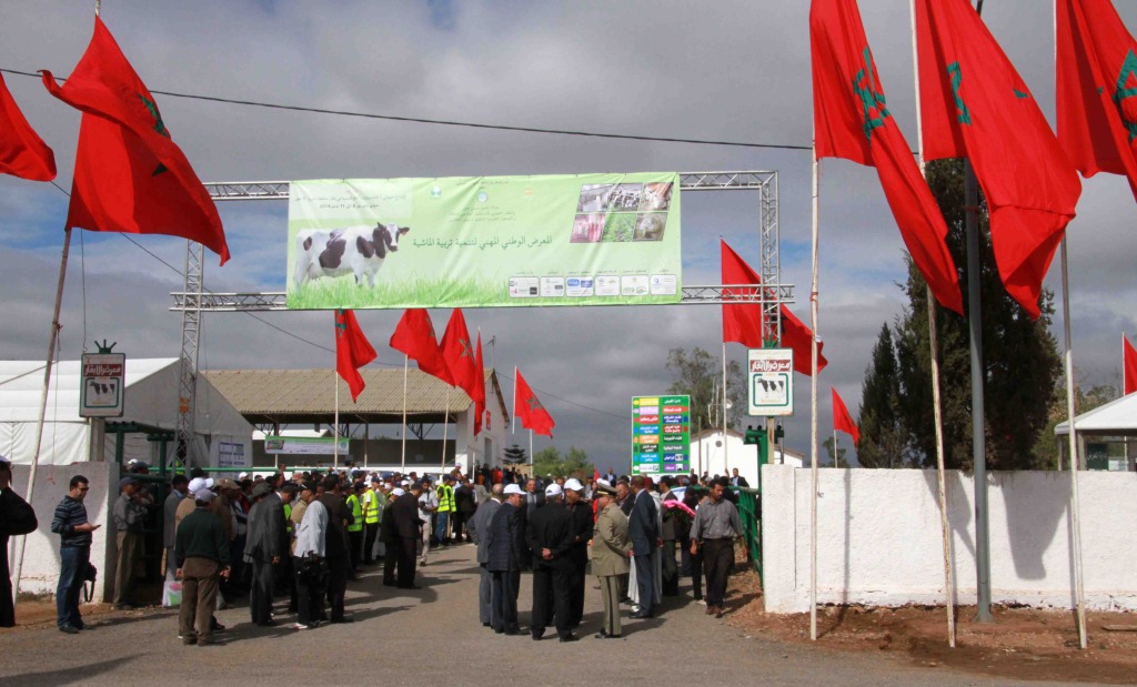 المعرض الوطني المهني لتنمية تربية الماشية